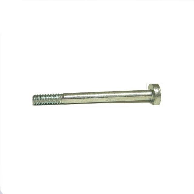 Starter Bolt (10x110mm) : $2.95